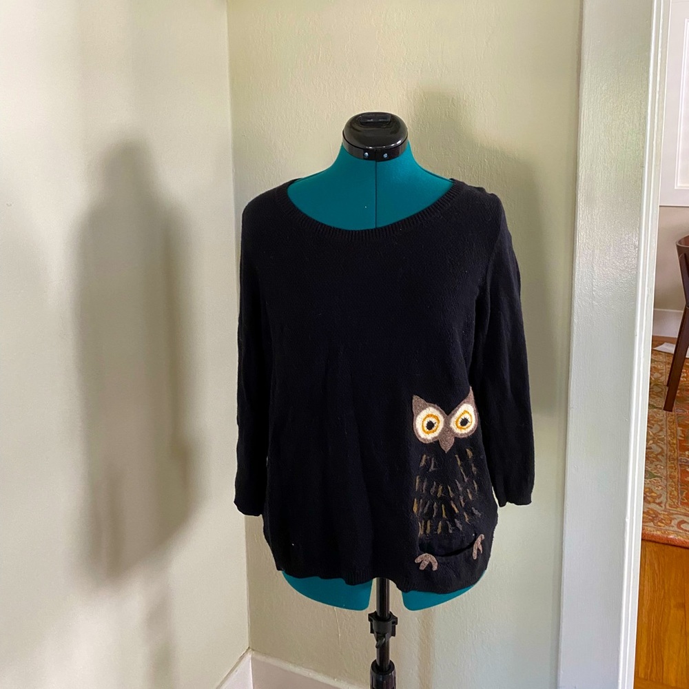 Anthropologie Owl Sweater